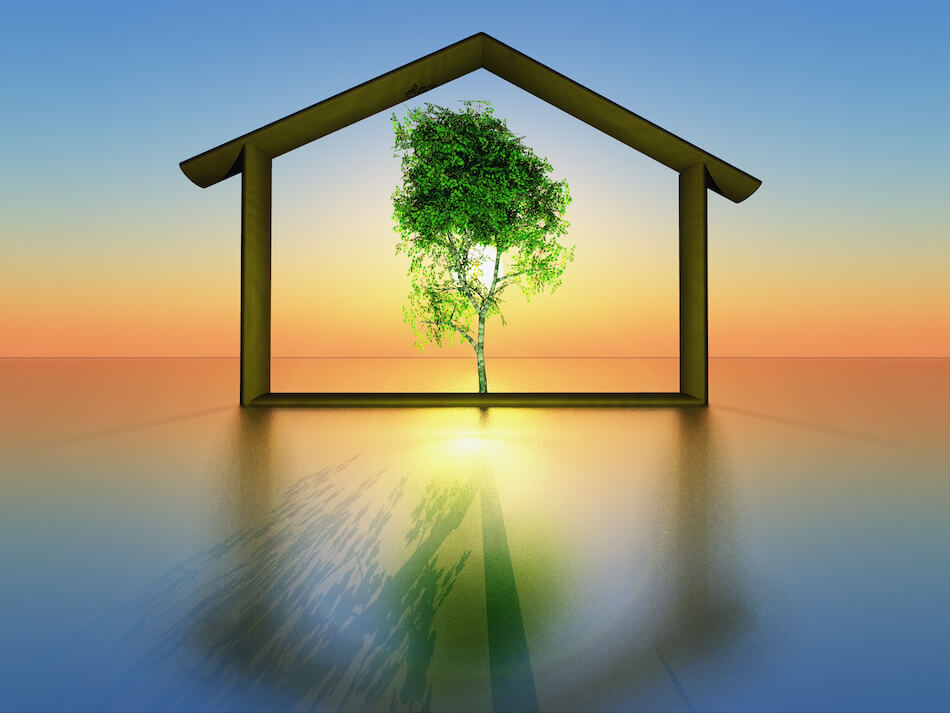 Modern sustainable building